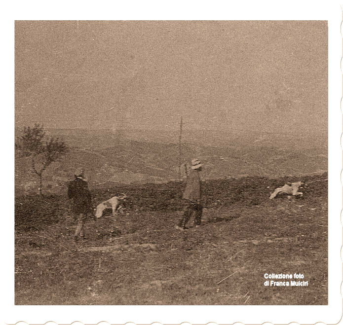 Caccia alle quaglie in contrada Mallo ~ 22 maggio 1914